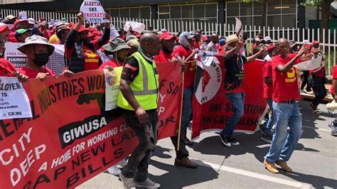 “the struggle of palestine is our struggle ” south african workers