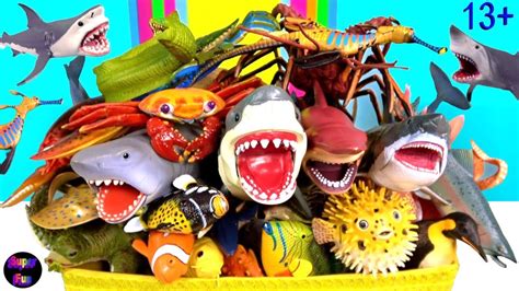 Sea Animals Sharks Whales Fish Octopus Lobster Stingray Crab