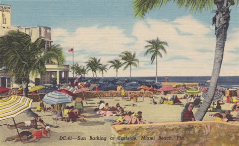 Miami Beach Forida Sun Bathing At Surfside Vintage Linen Postcard