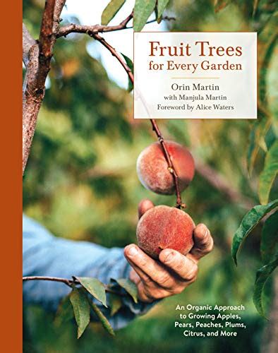 Buy Fruit Trees For Every Garden An Approach To Growing Apples Pears