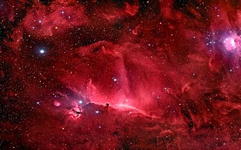 Wallpaper Stars Nebula Atmosphere Universe Horsehead