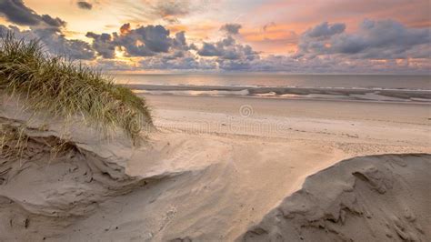 Dunes With Grass At The Coast Of The North Sea In Zeeland In The