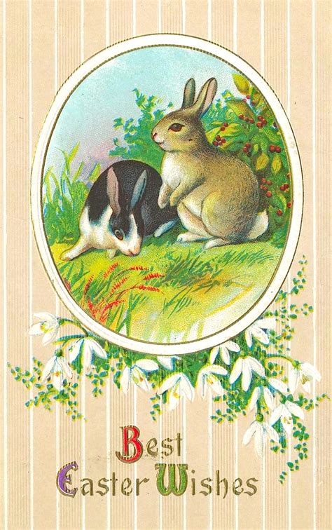 Fileeaster Bunny Postcard 1900 A Wikimedia Commons