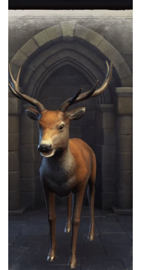Aware You The Most Adorable Elk I Have Ever Seen In This Game R