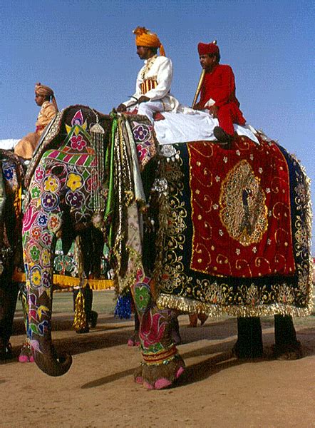 Turismo En India Un Paseo En Elefante