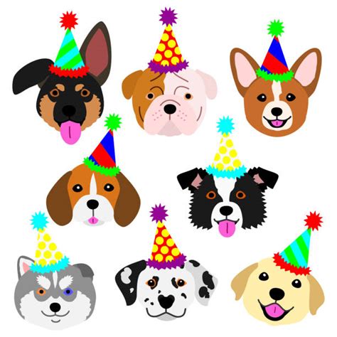 Puppy Birthday Hat Cartoon Illustrations Royalty Free Vector Graphics