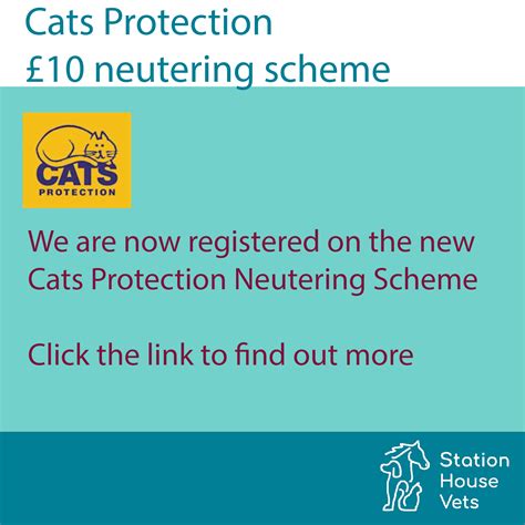 Cats Protection subsidised £10 neutering scheme - Station House Vets