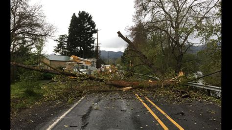 Photos Wind Storm Topples Trees Across Portland Region