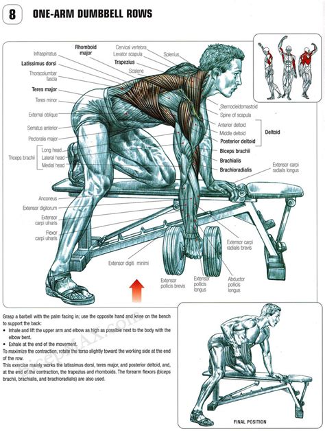 One Arm Bent Over Dumbbell Row
