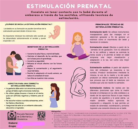 Estimulación Prenatal Infografía ¿cuÁndo Se Inicia La EstimulaciÓn