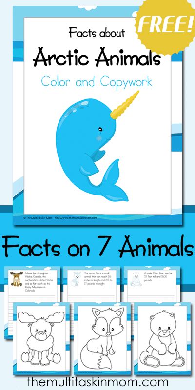 Color And Copywork Facts About Arctic Animals