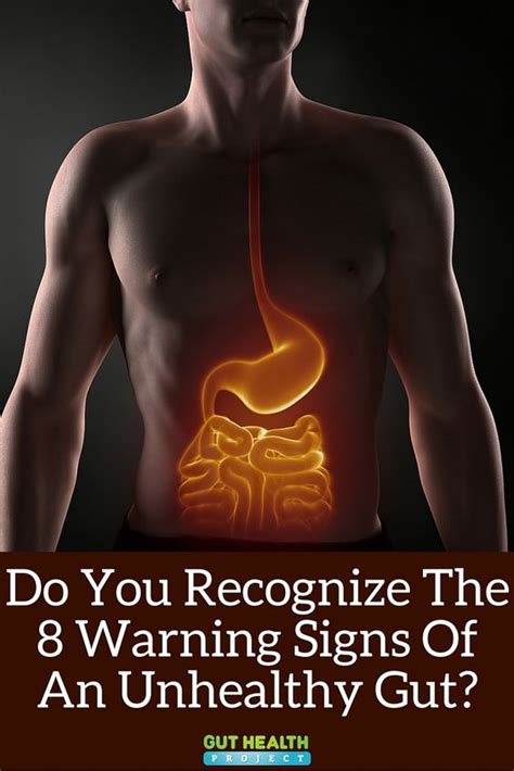 8 warning signs of an unhealthy gut signs health and healthy