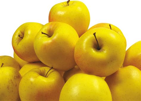 Yellow Apples Png Image Purepng Free Transparent Cc0 Png Image Library