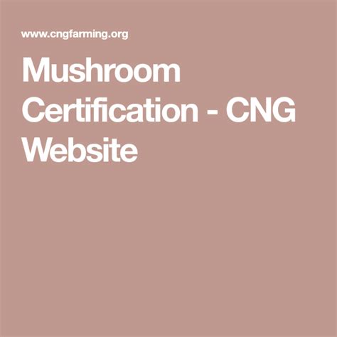 Mushroom Certification Cng Website Stuffed Mushrooms Certificate