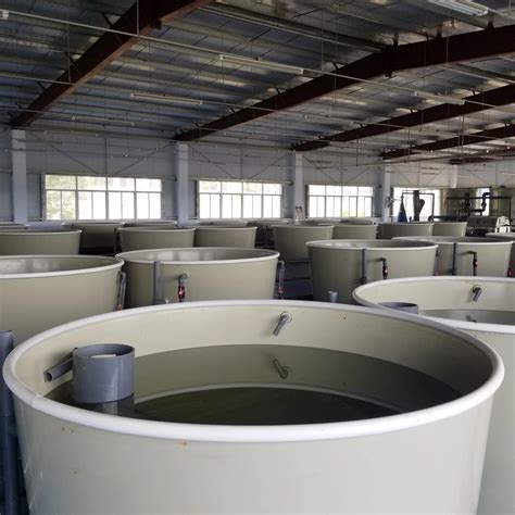 Large Commercial Fish Tanks For Fish Farm Buy Fish Tankaquaculture