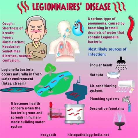 Pathology Of Legionellosis Legionnaires Disease Dr Sampurna Roy Md