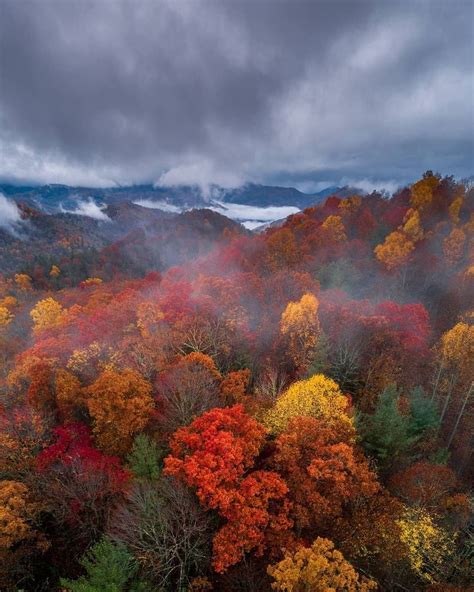 Asheville 2019 Fall Color Report And Forecast Scenic Views