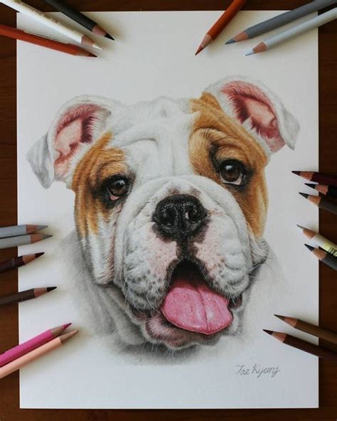 A Melhor E Mais RÁpida Forma De Aprender A Desenhar Realismo Puppy