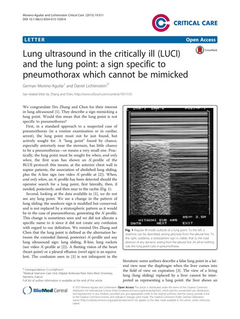 Pdf Lung Ultrasound In The Critically Ill Luci And The Lung Point