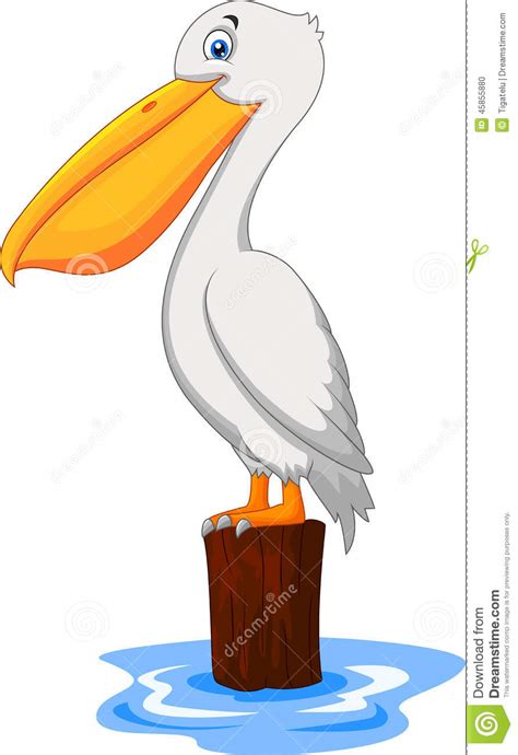 Cartoon Pelican In The Bay Stock Vector Illustration Of Pelican 45855880