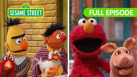 Elmo Finds The Missing Animals With Bert And Ernie Sesame Street Full