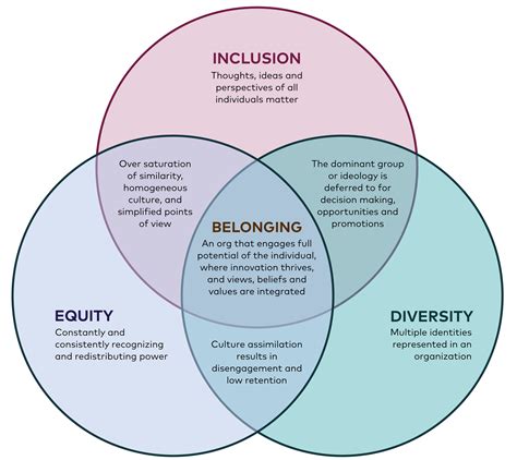 Belonging A Conversation About Equity Diversity And Inclusion By