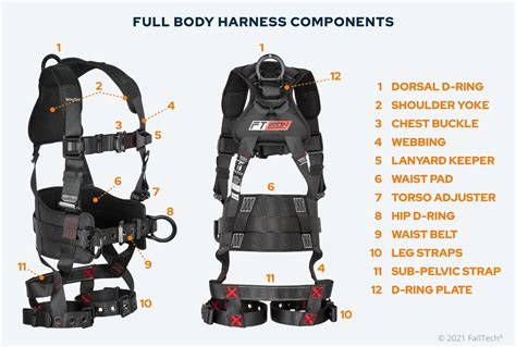 The Complete Guide To Full Body Harnesses