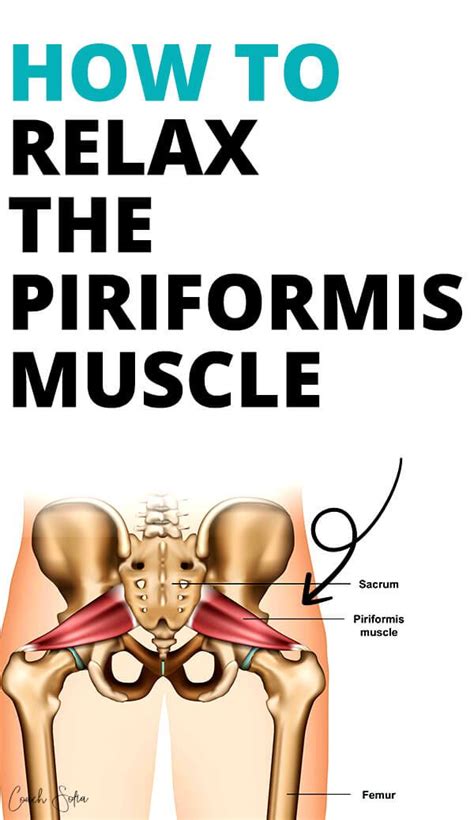 How To Effectively Relax And Release Tension From The Piriformis Muscle With Deep Tissue Release