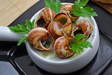 Escargot French Culture Stock Photo Image 47311793