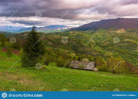 Dramatic Mountain Scenery With Trees And Meadows Stock Photo Image Of