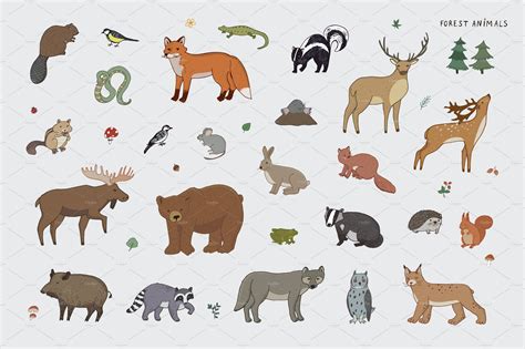 Forest Animals In 2020 Forest Animals Illustration Animal