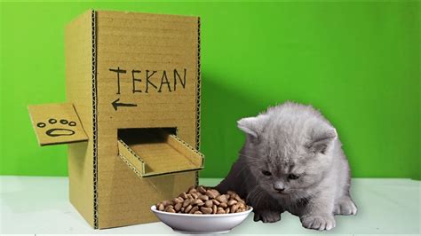 Berikut cara membuat makanan penggemuk kucing murah. Cara Membuat Mesin Dispenser Makanan Kucing / Anjing dari ...