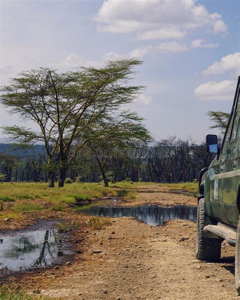 Safari Jeep En El Lago Nakuru Rift Valley Kenia Foto De Archivo