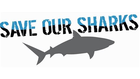 Shark Conservation Fund Chuffed Non Profit Charity And Social