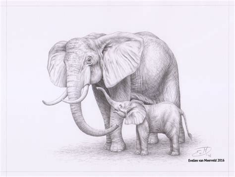 Https://wstravely.com/draw/how To Draw A Baby Elephant With A Mom