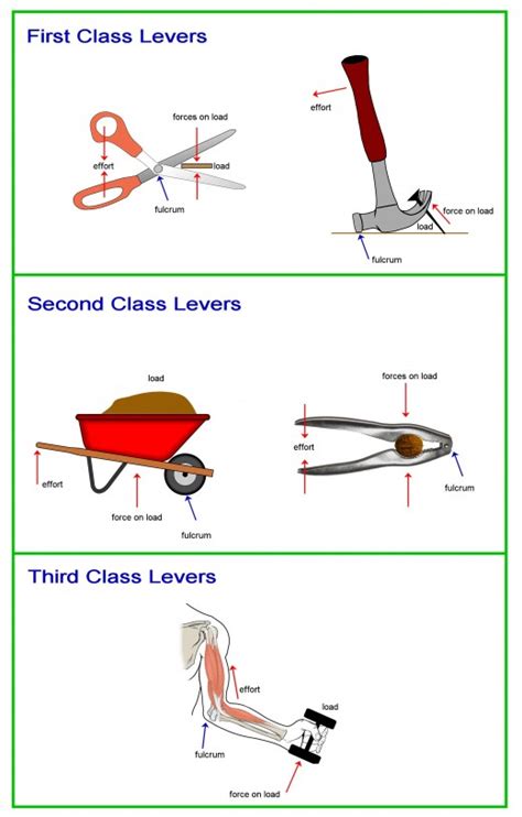 30 Trends Ideas Simple Machines 1st Class Lever Examples