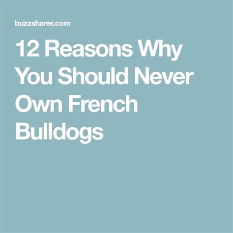 12 Reasons Why You Should Never Own French Bulldogs French Bulldog