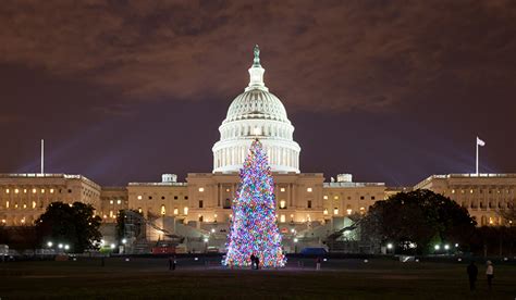 Capitol Christmas Tree Begins Journey Across America