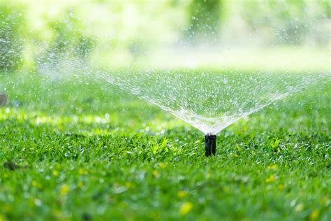 How Long To Water Your Lawn