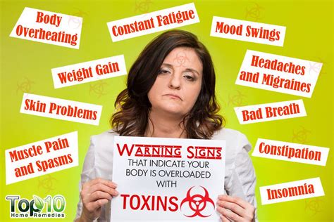 Warning Signs That Indicate Your Body Is Overloaded With Toxins Top
