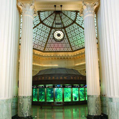 Shedd Aquarium (Chicago) - 2018 What to Know Before You Go ...