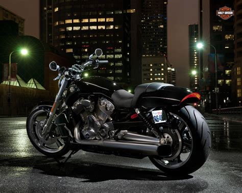 Harley Davidson V Rod Muscle Berita Dan Ulasan Dunia