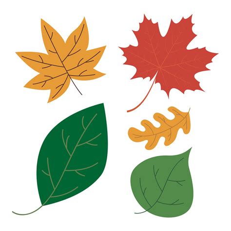 Fall Leaf Printouts ~ 7 Best Fall Leaves Worksheets Printables Vida