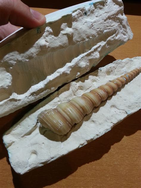 Maybe you would like to learn more about one of these? Make a Two Part Reusable Mold Using Plaster : 9 Steps ...
