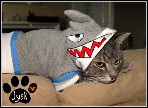 Awesome Shark Cat Costume By Acawker2012 On Etsy Cats Kittens In
