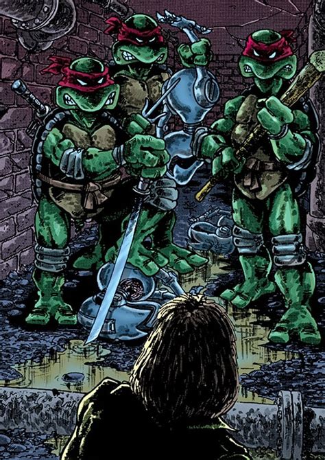 Teenage Mutant Ninja Turtles Mirage Comics Classic Profile