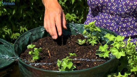 How To Plant Hanging Baskets Youtube
