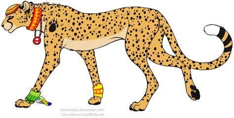 Cheetah Points and Cheetah Spots by CCF-Cheetahs on DeviantArt