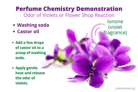 Violet Perfume Chemistry Demonstration Flower Shop Reaction