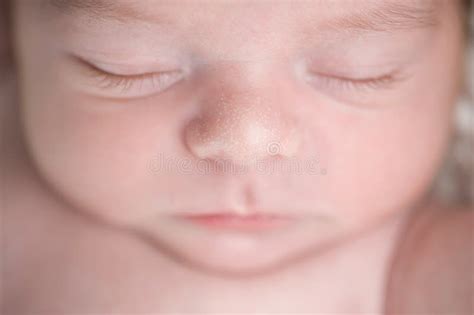 Newborn Baby Nose Stock Photo Image Of Little Caucasian 64945044